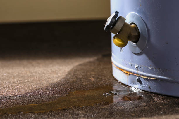 Trusted Anthony, KS Water damage restoration Experts