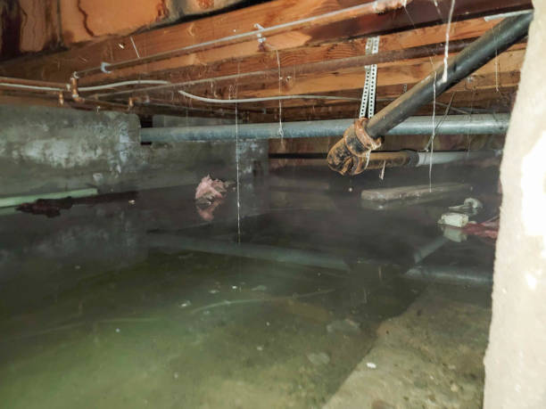 Fire Damage Restoration in Anthony, KS