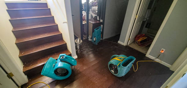 Best Residential water damage restoration  in Anthony, KS