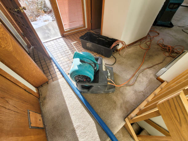 Best 24-hour water damage restoration  in Anthony, KS