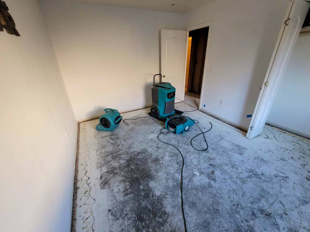  Anthony, KS Water damage restoration Pros