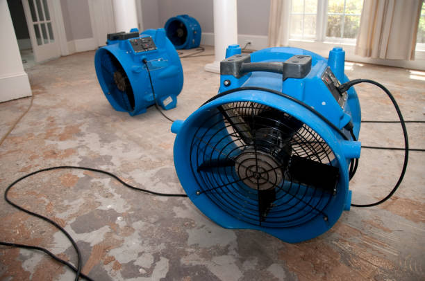 Best Water damage restoration mold remediation  in Anthony, KS