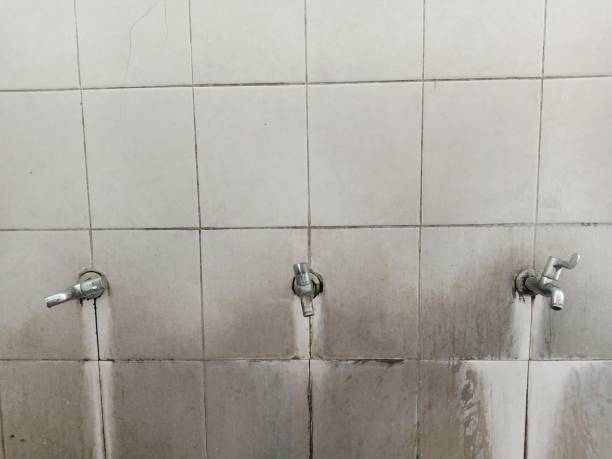 Best Emergency water extraction  in Anthony, KS