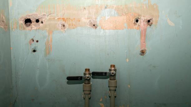 Best Water damage restoration near me  in Anthony, KS
