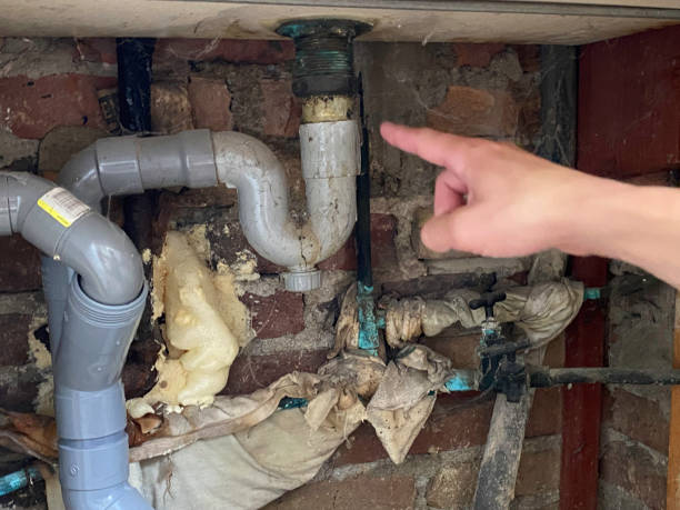 Best Basement water damage restoration  in Anthony, KS