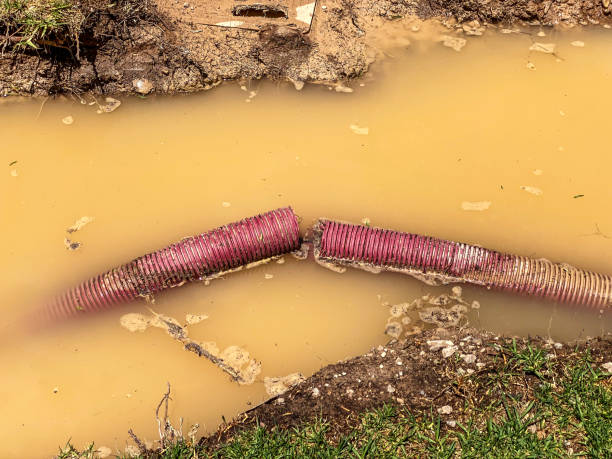 Water damage restoration mold remediation in Anthony, KS