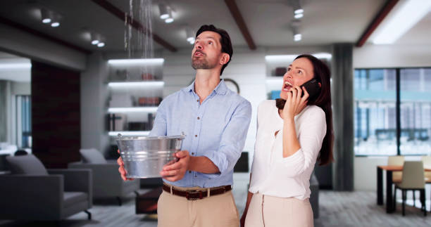 Best Sewage cleanup and water damage restoration  in Anthony, KS